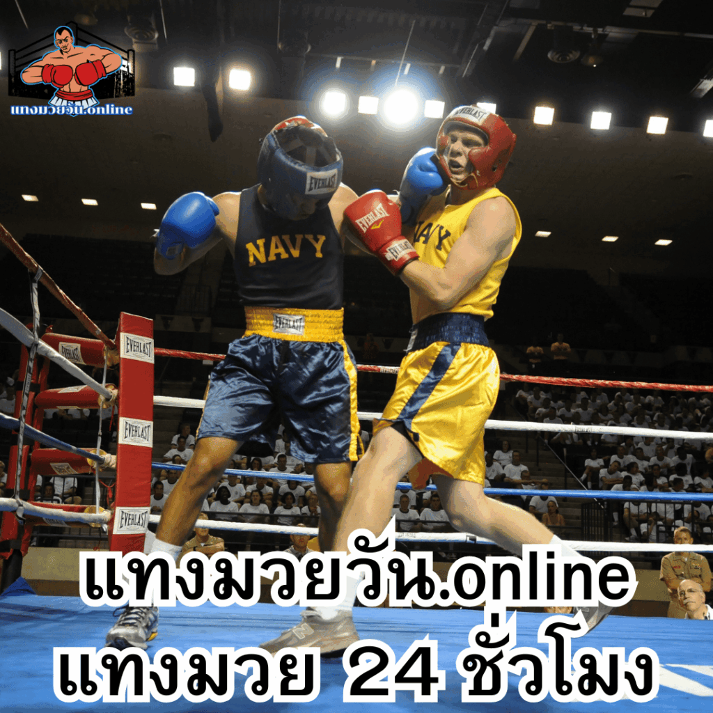 แทงมวยวัน.online