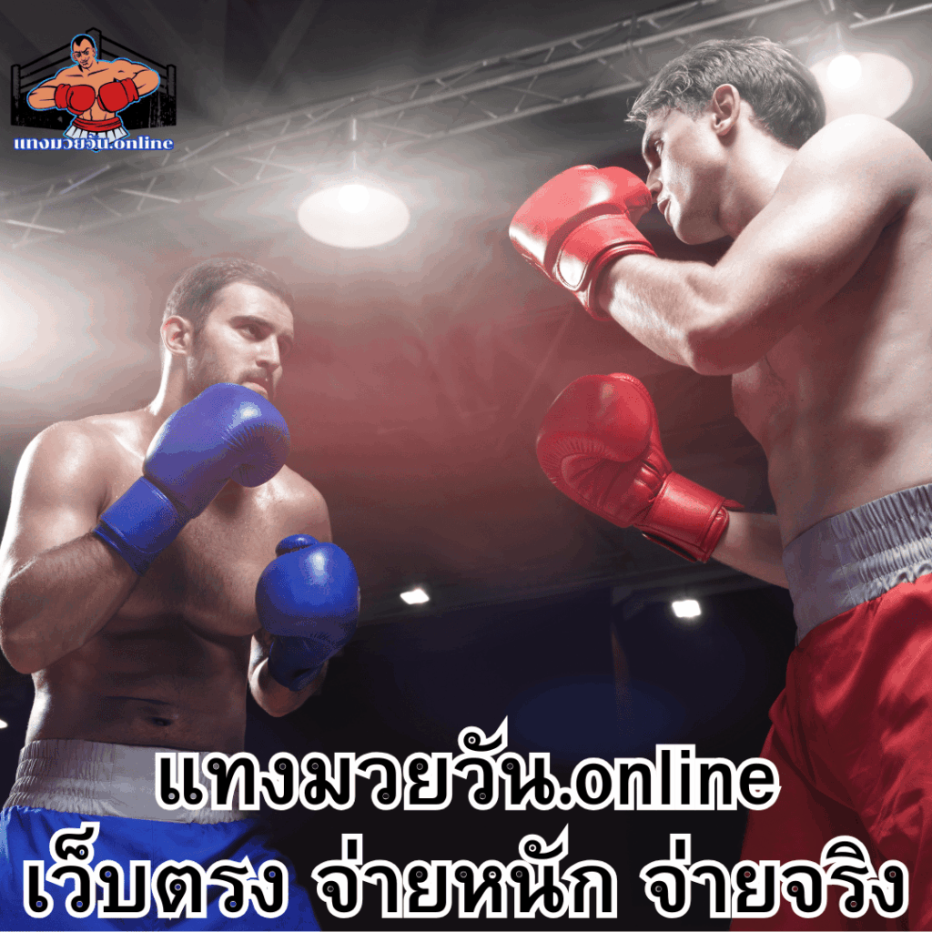 แทงมวยวัน.online